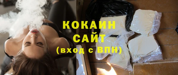 соль ск Алзамай