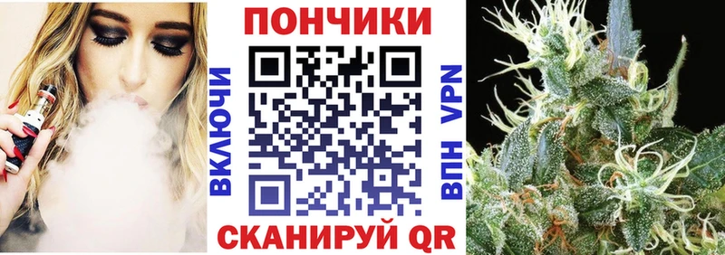 мега маркетплейс  где купить наркотик  Злынка  Канабис индика 